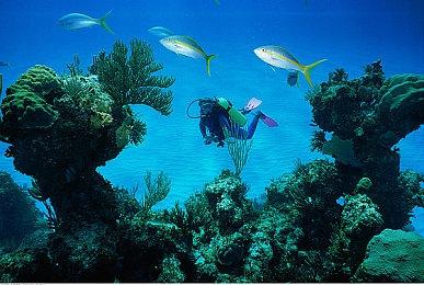 《使命召唤：先锋》僵尸模式明晚11点发布 僵尸加恶魔